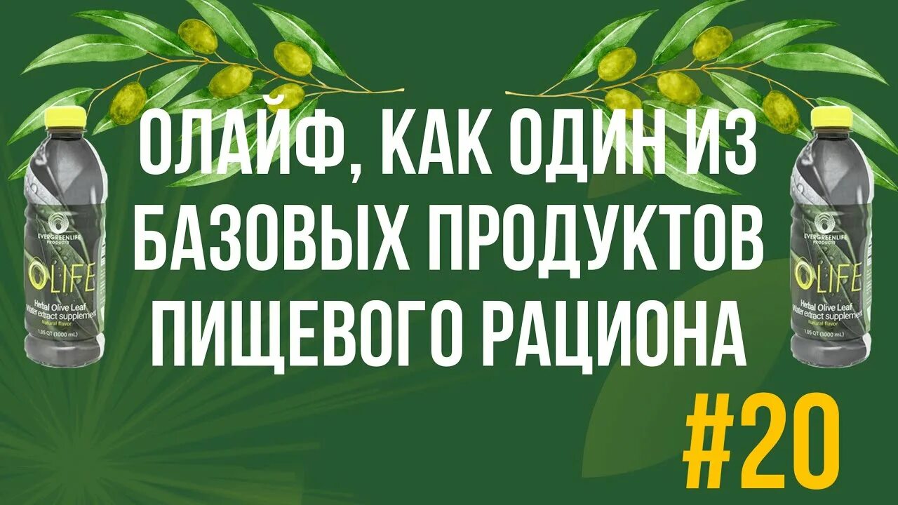 Купить олайф. Олайф напиток. Olife экстракт из оливковых листьев. Олайф напиток как принимать. Olife гель как пить.