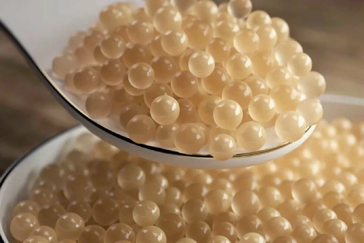 Икра белуги альбиноса. Золотая икра белуги альбиноса. Осетр альбинос. Самая дорогая икра рыбы. Самая дорогая икра рыбы.