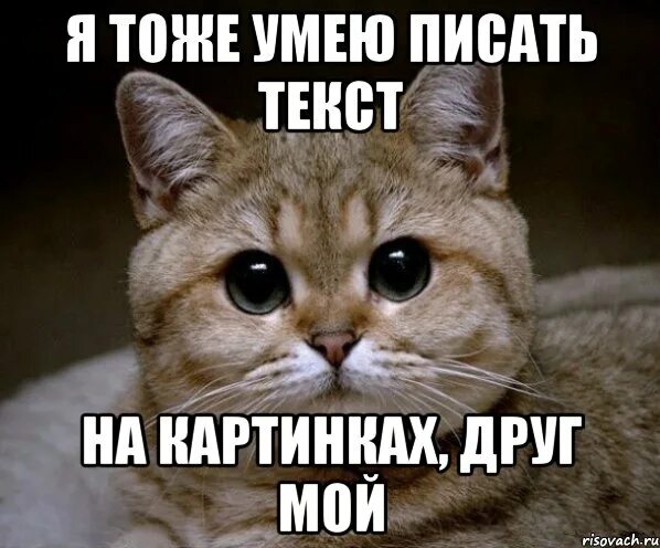 Я не умею писать. Почему важно уметь писать. Она умеет писать. Иногда становится очень грустно. Пишет мем.