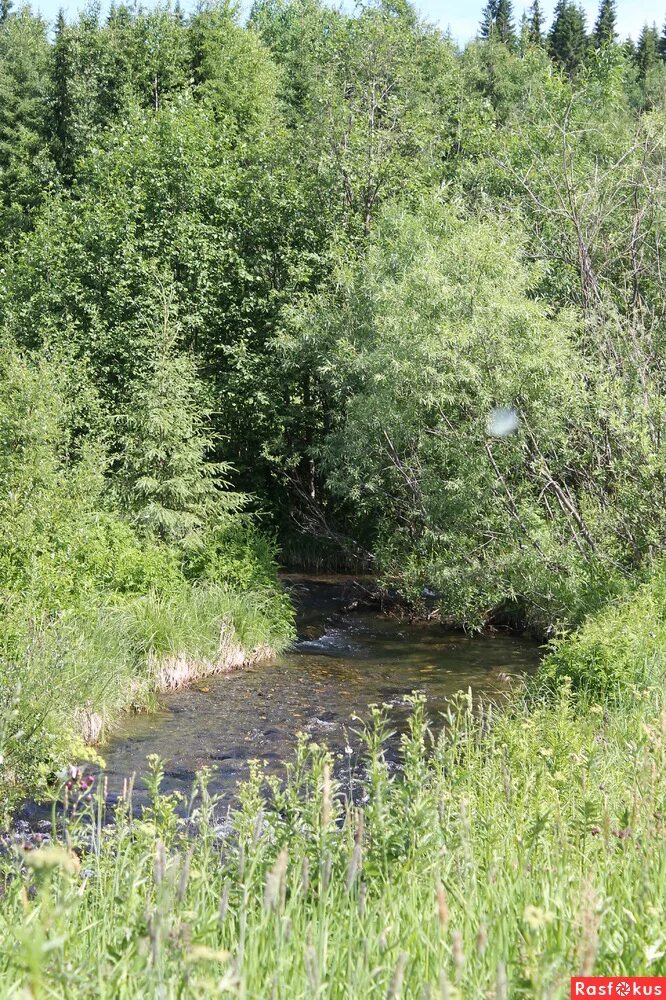 Река Серебрянка. Серебрянка (приток Хапиловки). Река Серебрянка в Измайлово.