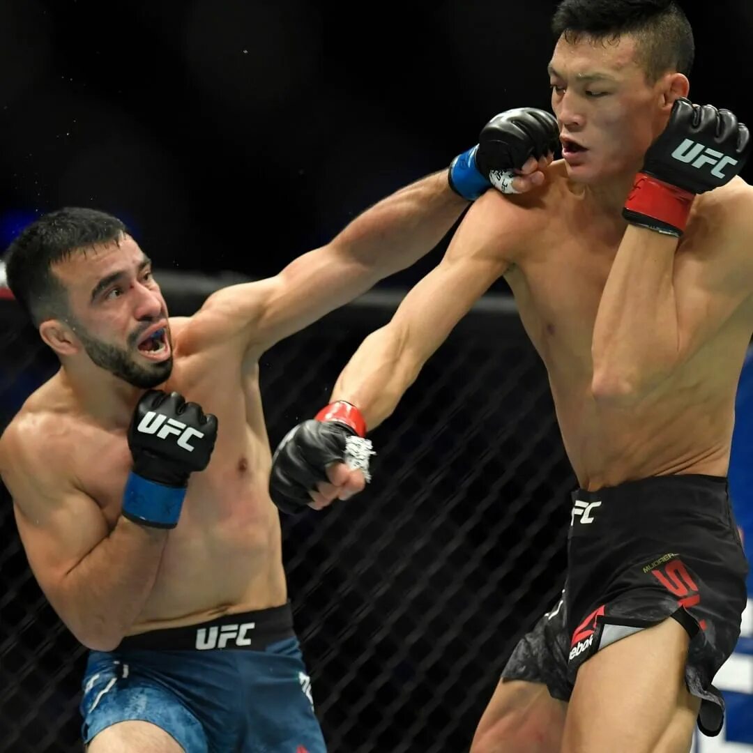 Нажмутдин шамсутдинов боксер. Хамзат чимаев ufc. Ержан залилов. Бой в тг. Бой в тг.