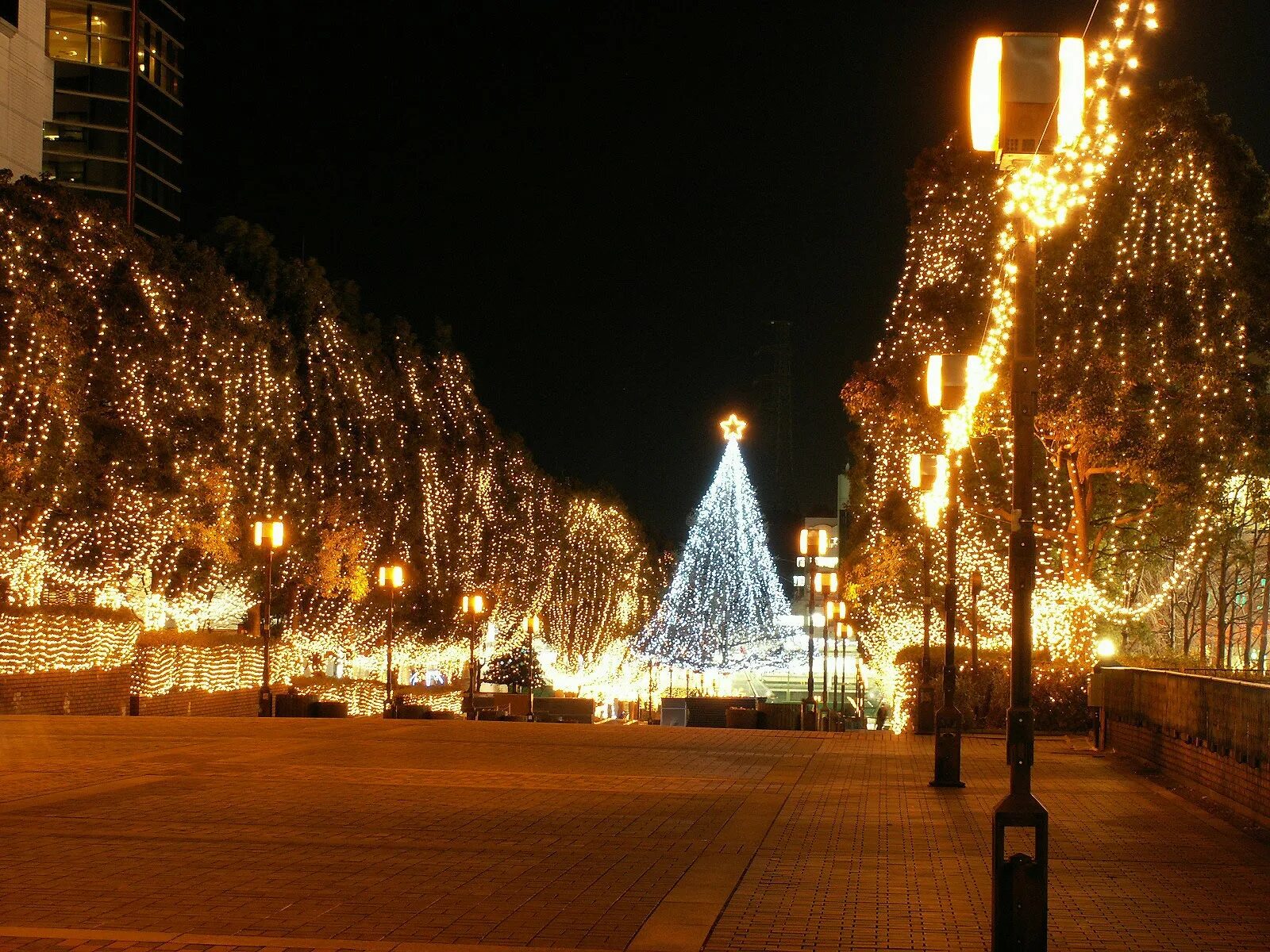 New years night. Абхазия новогодние каникулы 2022. Новогодняя улица. Новогодний ночной город. Новый год на улице.