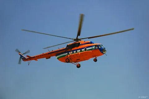 Вертоломы