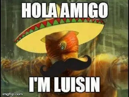 Holla amigo