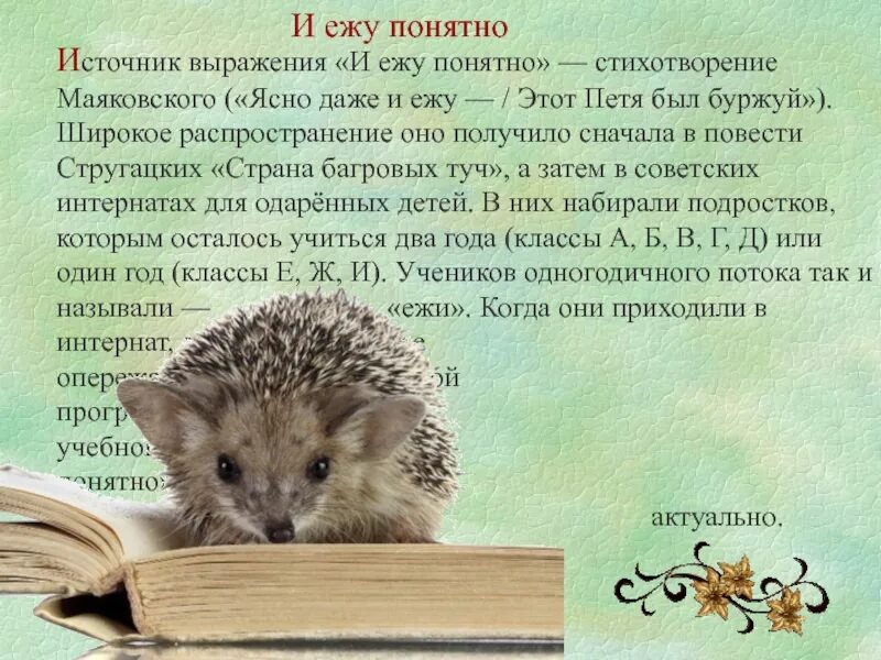 Ответ еж