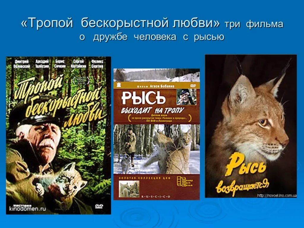 Тропой бескорыстной. Тропой бескорыстной любви фильм 1971. Советский фильм про рысь и лесника. Постеры к фильму тропой бескорыстной любви. Тропой бескорыстной любви кадры из фильма.
