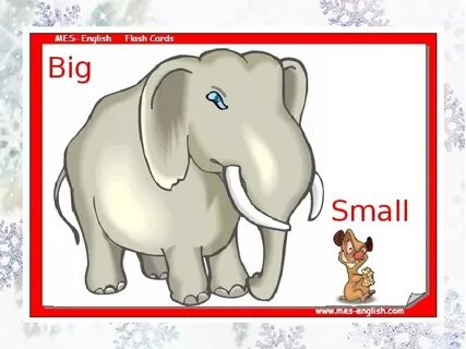 Big small