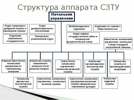 Отделы таможни