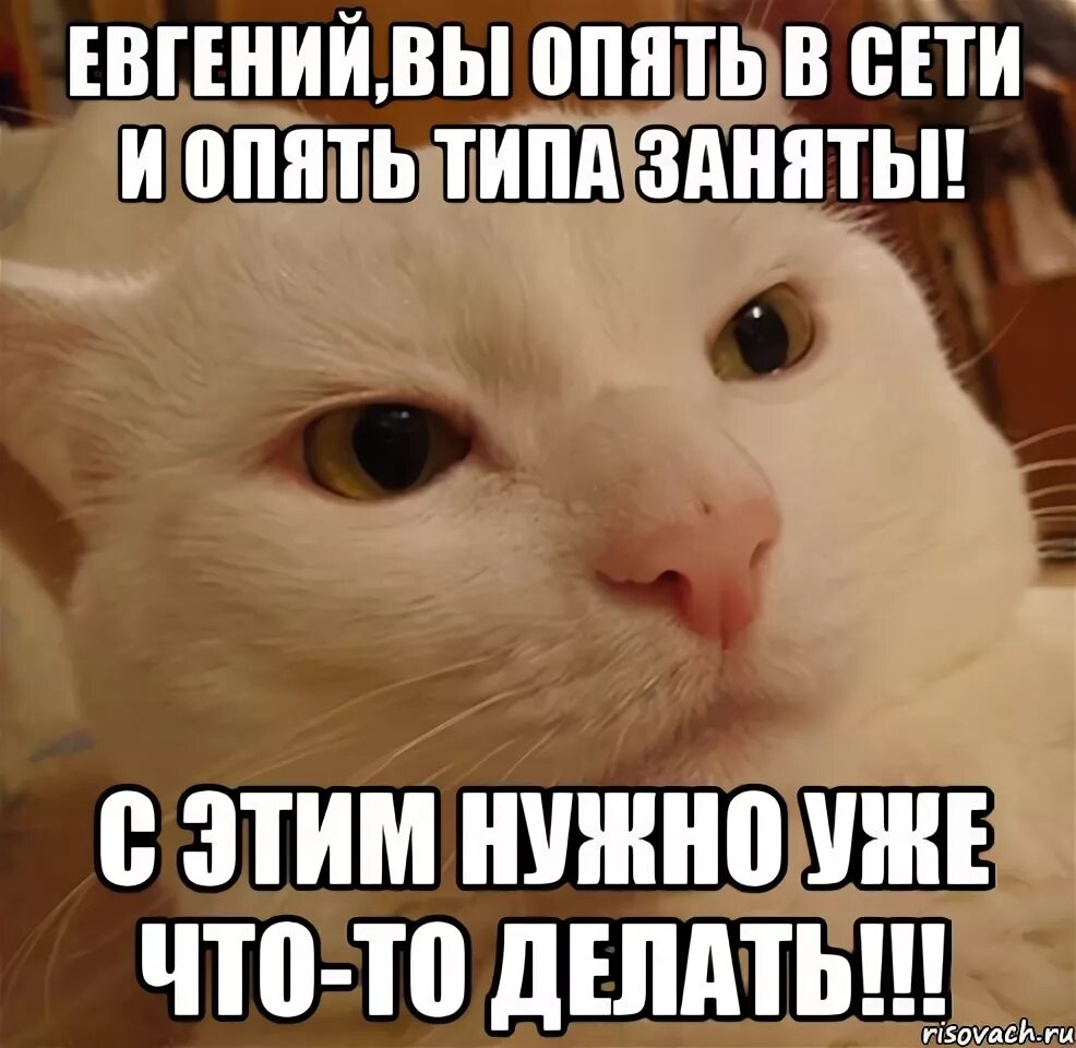 Опять начинаешь что ответить. Опять в сети. снова в сети картинка.