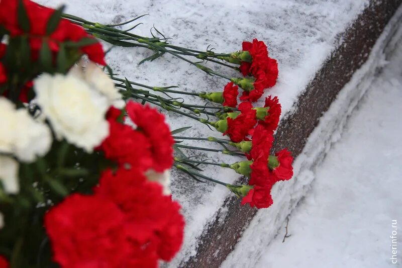 Сколько блокадников. День памяти воинов-интернационалистов. роща блокадников. вечная память воинам интернационалистам. снятие блокады монумент.