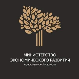 Сайта новосибирского минэкономразвития