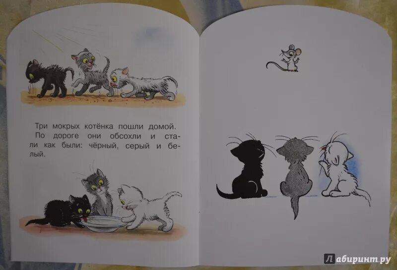 Сутеев 3 котенка. Книга Сутеев три котенка. Федин котенок 3 полностью