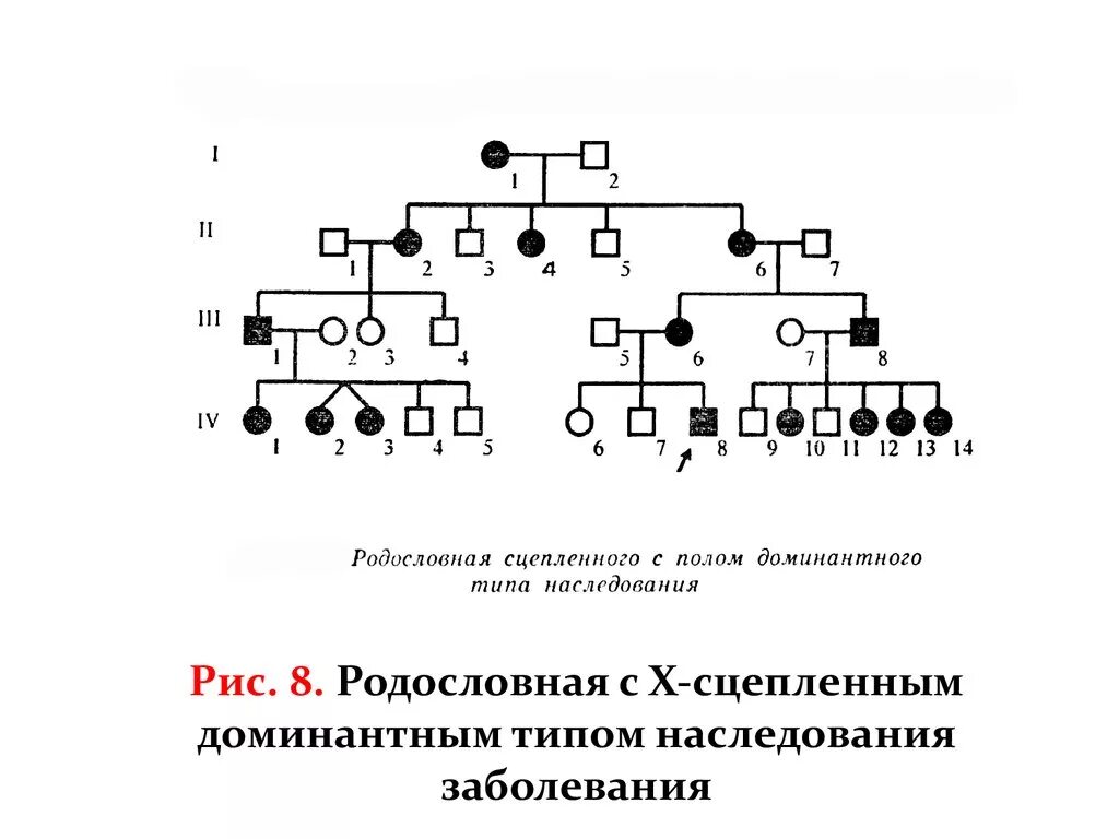 Аутосомно-доминантный Тип наследования. Родословная с х-сцепленным доминантным типом наследования. Аутосомно рецессивный Тип наследования генеалогический метод. X сцепленный доминантный Тип наследования родословная.