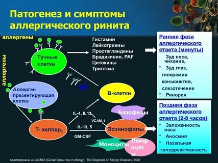 Для лечения аллергических реакций применяют