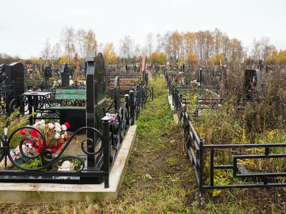 Богородское кладбище Рязань. Богородское кладбище Ногинский район. Богородское кладбище Тимохово. Богородское кладбище Электроугли. Богородское кладбище памятники