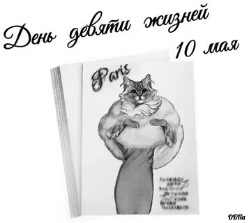 День 9 жизней