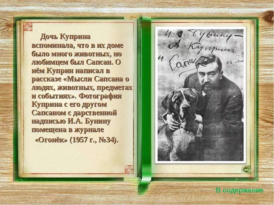 Произведение куприна 8 класс. Куприн а. "мысли Сапсана".