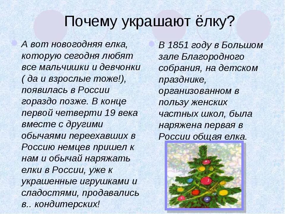 Какую живую елку выбрать. Темы для презентаций елочки. Почему нужна елка. Елка живая и искусственная. Описать ёлку.