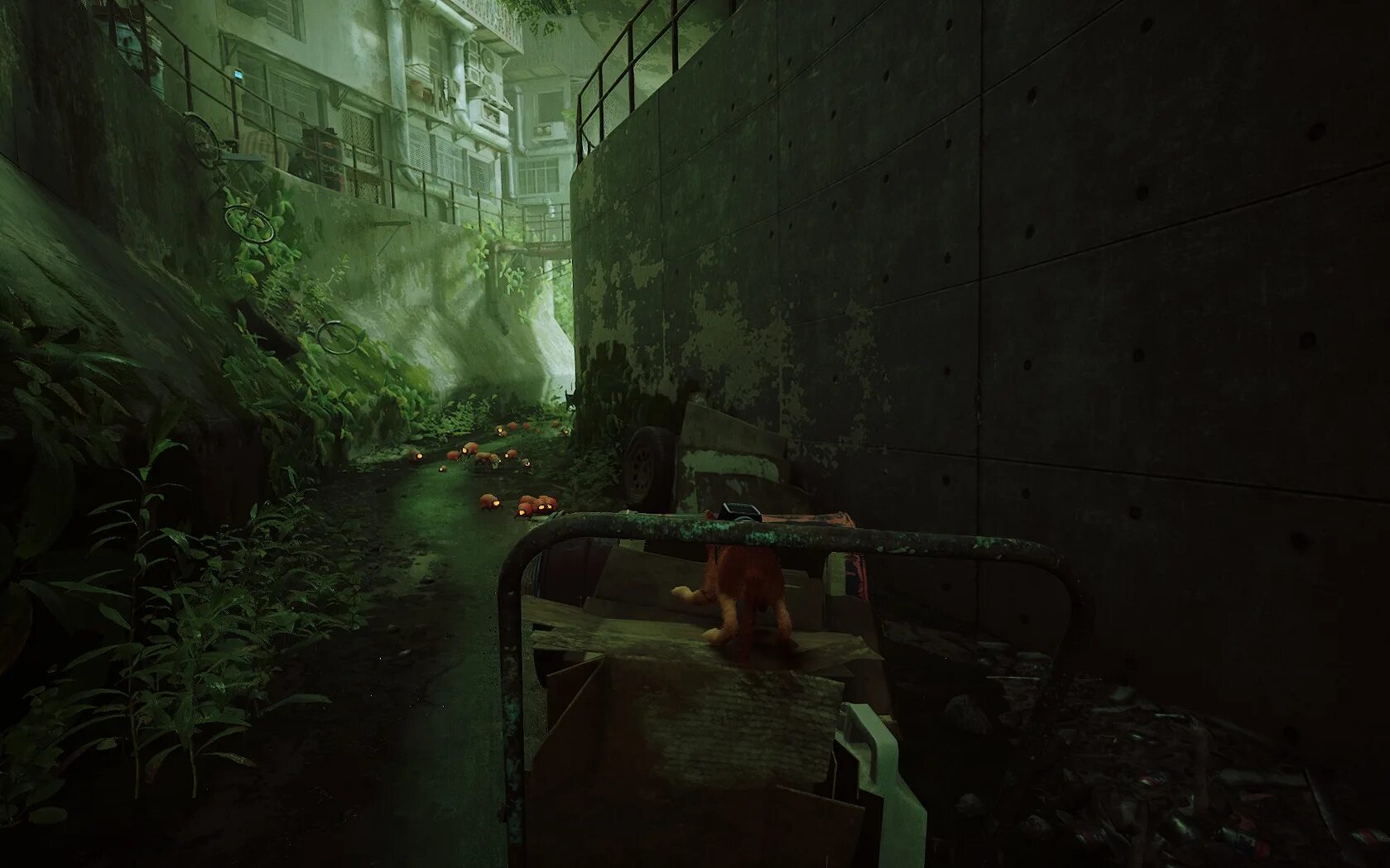 Stray игра 2022. Stray игра. В стрев. Stray б 12. Stray скриншоты.