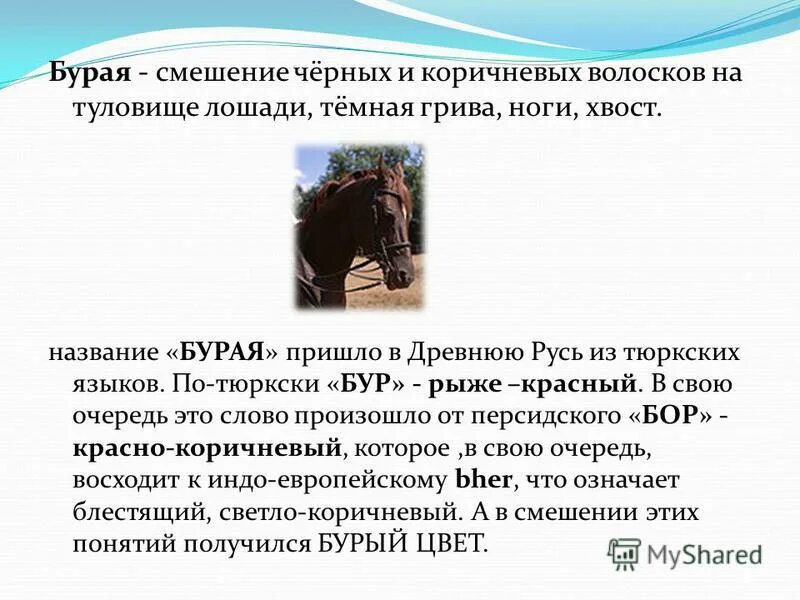 коричневый цвет название. имя бурый. паспорт прикол. таблица цветов ral классика. оттенки коричневого.