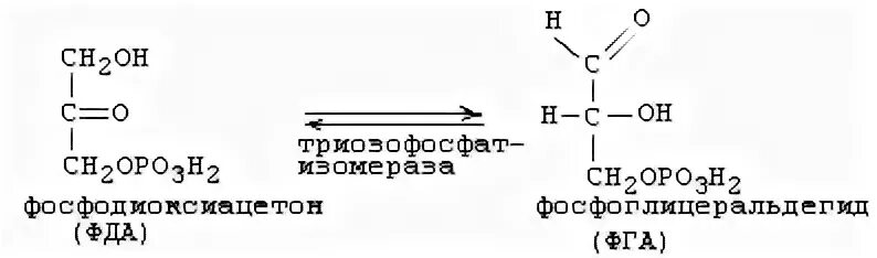 Реакция 6 букв