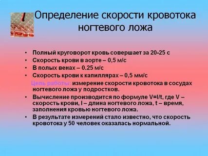 Ложи скорость
