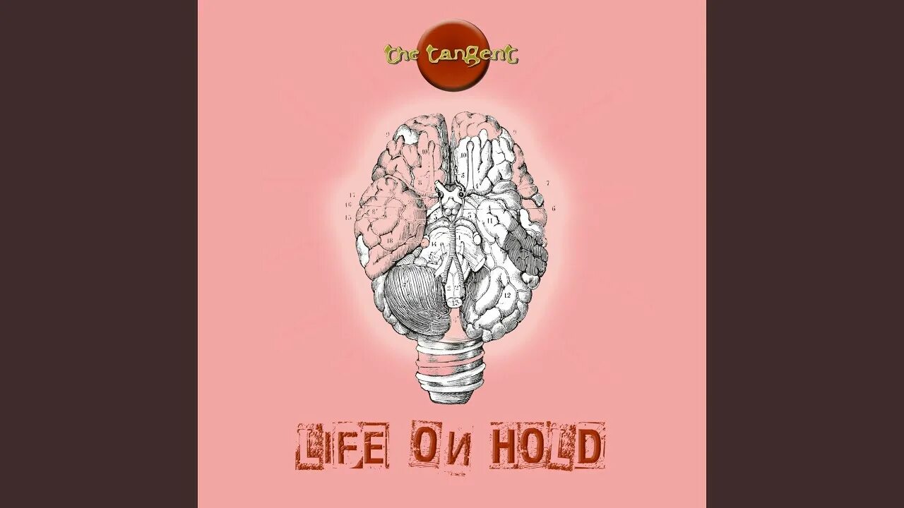 Hold on life. Hold on life