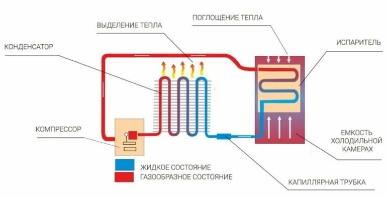 Какой процесс характеризуется поглощением тепла. Схема компрессор испаритель конденсатор. Испаритель и конденсатор кондиционера. Испаритель и конденсатор холодильника. Компрессор конденсатор испаритель.