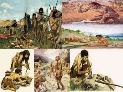 Сперматозоид донорлары жасырын камера