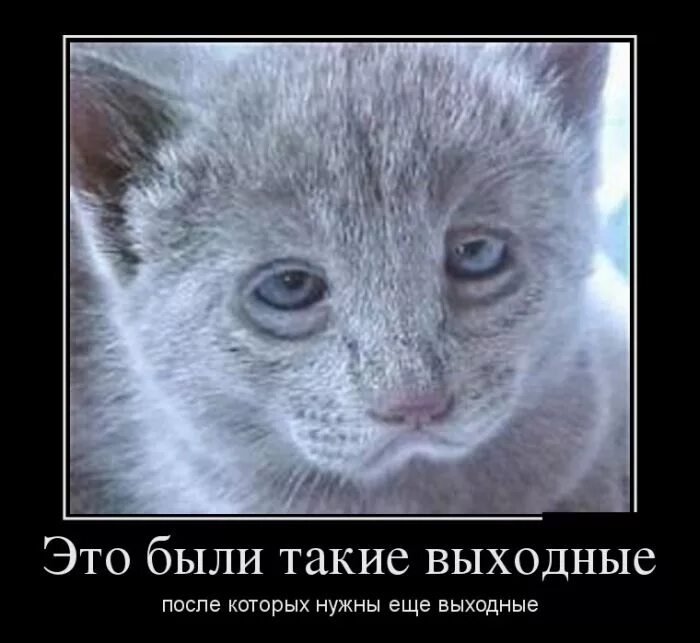 Лучшие худшие выходные