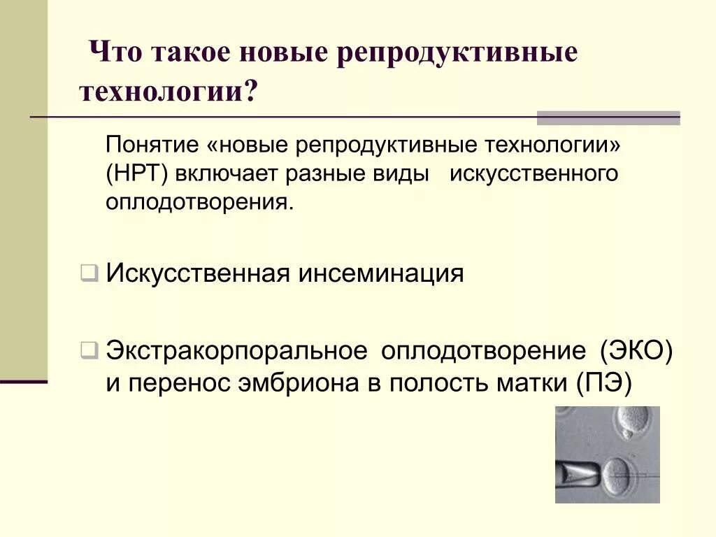 Что такое нова
