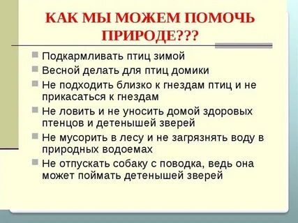 Чем вы можете помочь классу