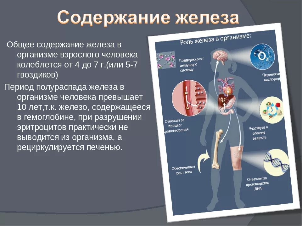 Для чего нужны железы в организме. Влияние железа на организм. Железы организма человека. Роль железа в организме человека. Железо влияние на организм человека.