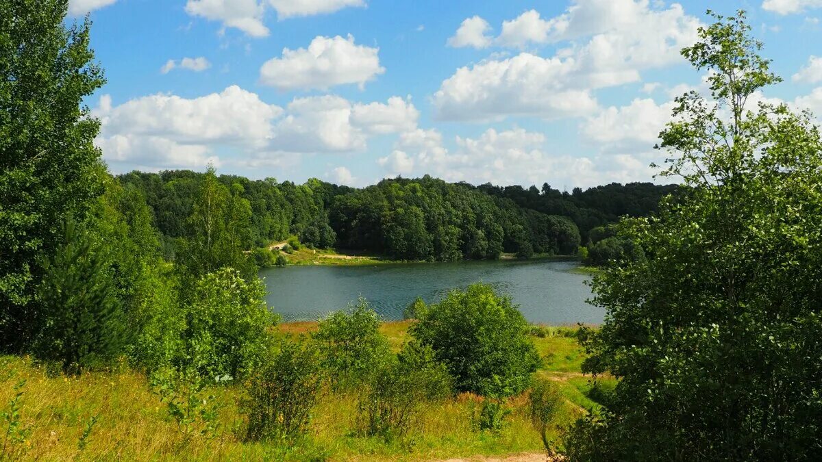 смоленщина где. станция кардымово смоленская область. смоленск природа. смоленщина. родина смоленщина смоленщина.
