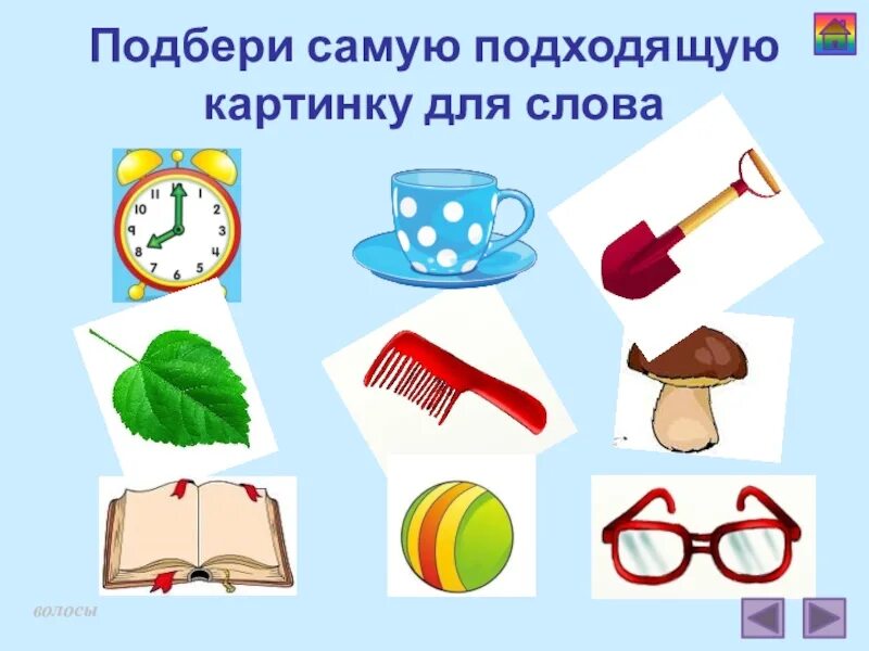 Как выглядит идеальная женщина. Чем хуже тем лучше. Смешные высказывания про женщин. Интересный гороскоп. Что она хорошо подходит для.