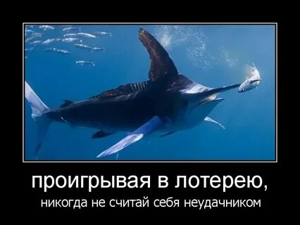 Смысл пословицы видит око да