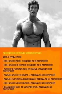 Программа арнольда шварценеггера на массу