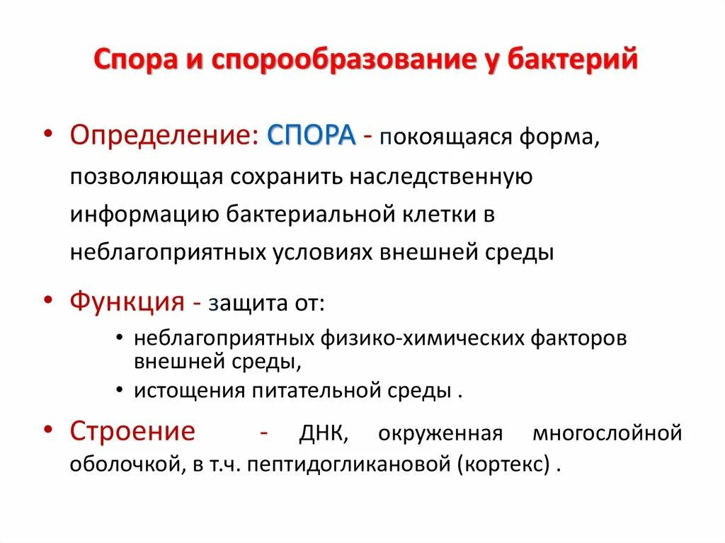 Что значит обнаружены споры. Споры и спорообразование микробиология. Особенности спор микробиология. Структура спор бактерий. Споры бактерий микробиология.