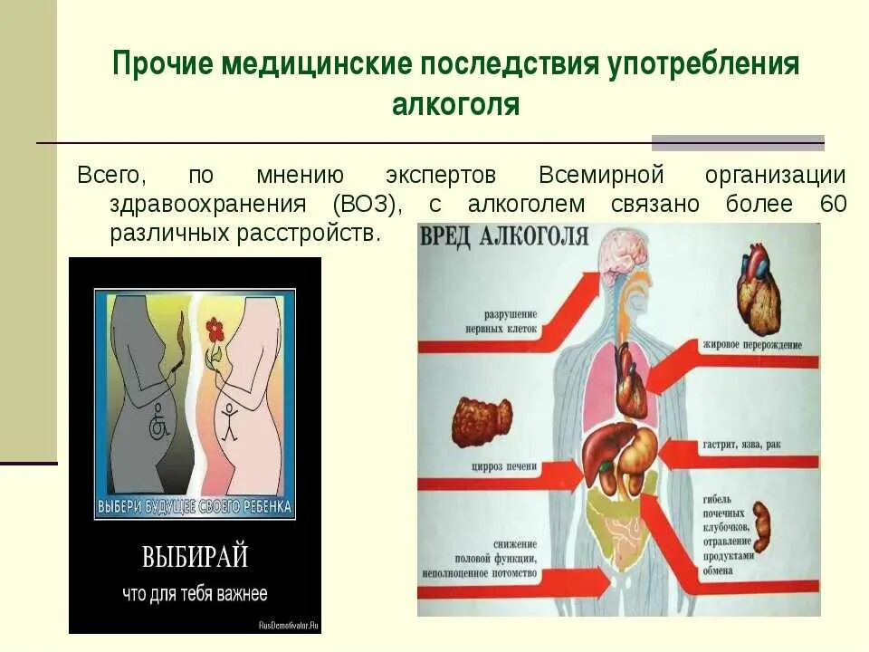 Медицинские последствия. Медицинские последствия алкоголизма.