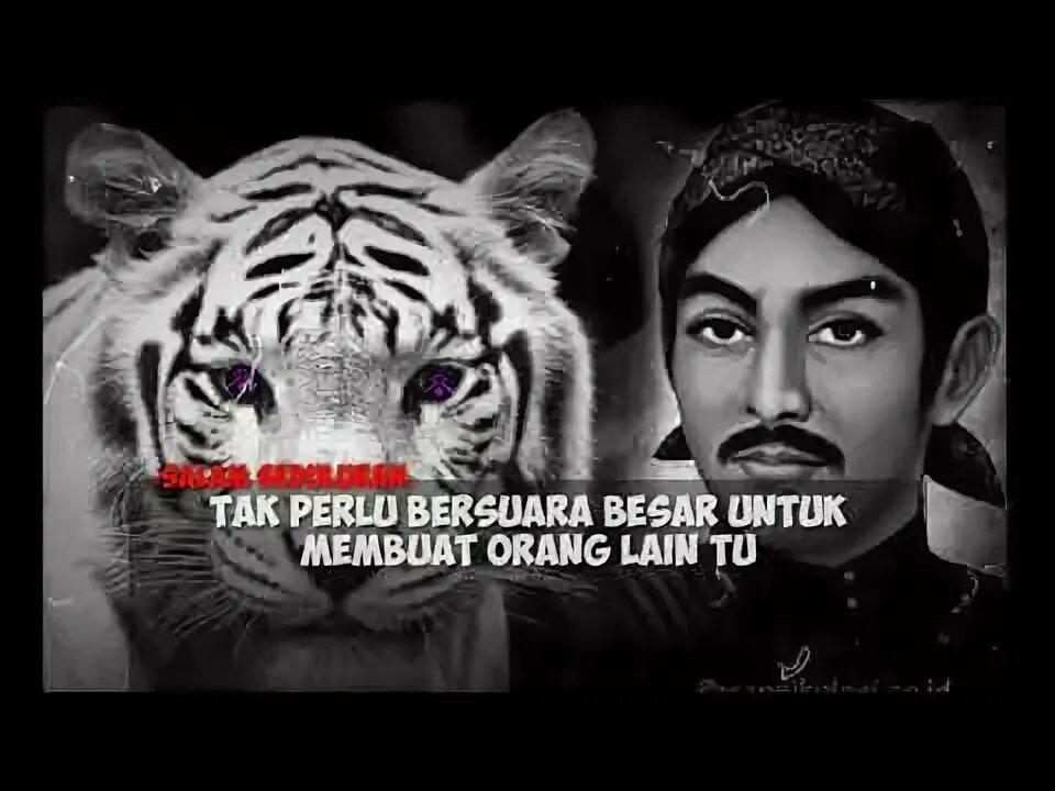 Macan stories. Macan stories