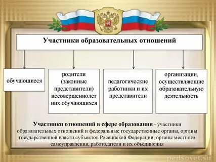 Административные отношения в сфере образования