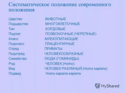 Систематическое положение тополя