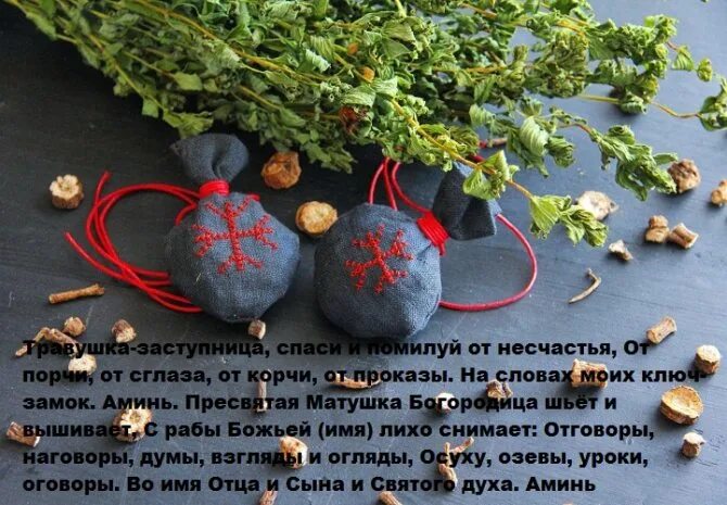 Как защититься от сглаза самостоятельно. Талисман от сглаза и порчи. амулет для защиты от сглаза и порчи. растение от сглаза и порчи. растение оберег от сглаза.