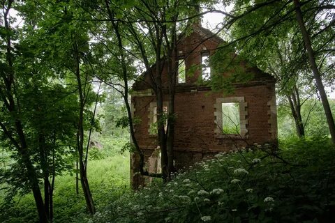 Погода в сенницах 2