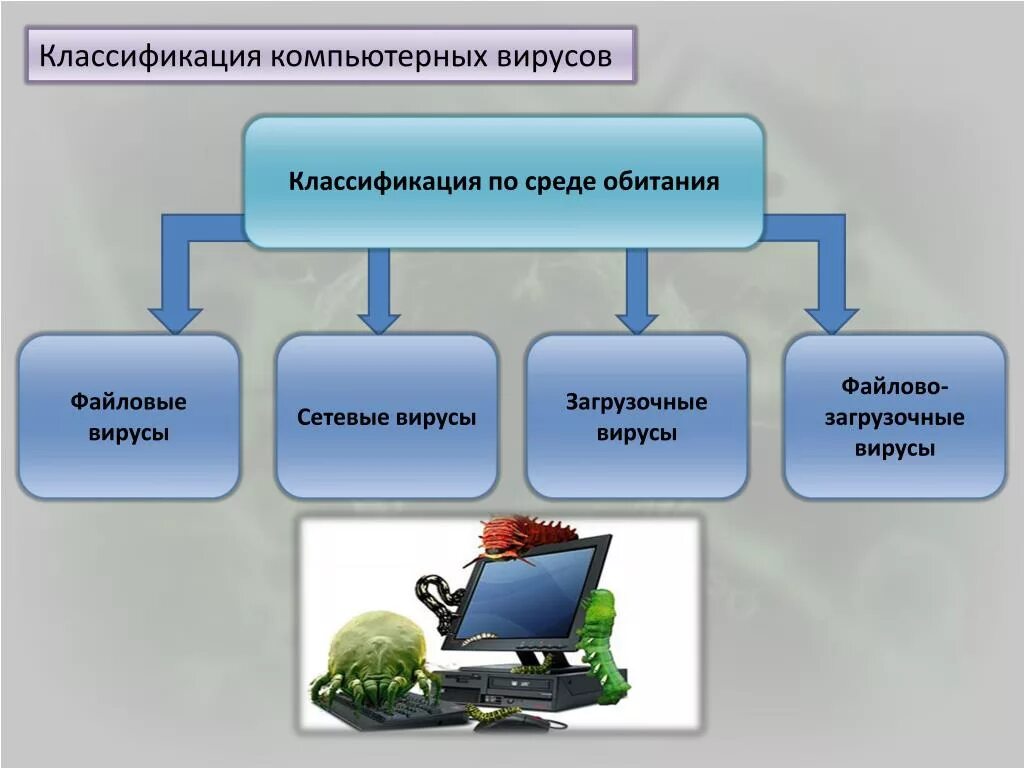 Основные группы компьютера. Классификация вирусов ПК. Классификация программных вирусов. Классификация вирусов Информатика. Компьютерный вирус классификация вирусов.