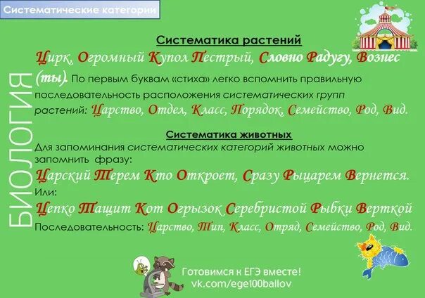 Запоминалка для систематики растений. Схема классификации растений таксоны. Систематические таксоны растений таблица. Систематическая группа 5 букв. Расположи в правильном порядке систематические группы растений.