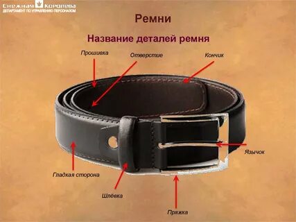 Требования к конструкции поясного ремня неверно