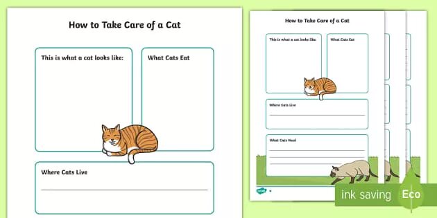 How to take. How to take care of your pet. how to take care of pet. taking care of pets worksheets. how to take care of animals.