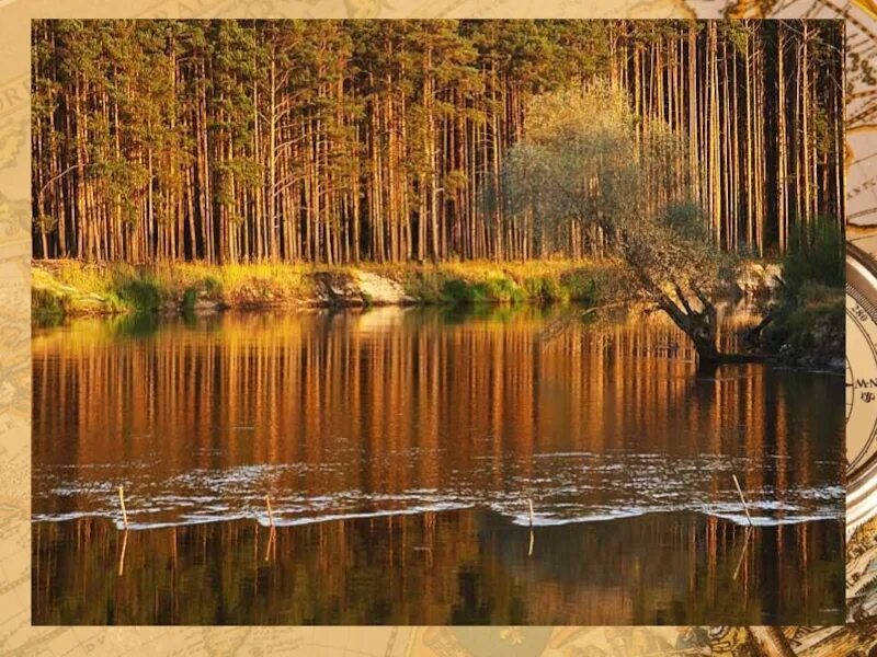 Мещера тема. Мещёра национальный парк. национальный парк мещера рязанская область. мещерский край паустовский. мещёра паустовский.