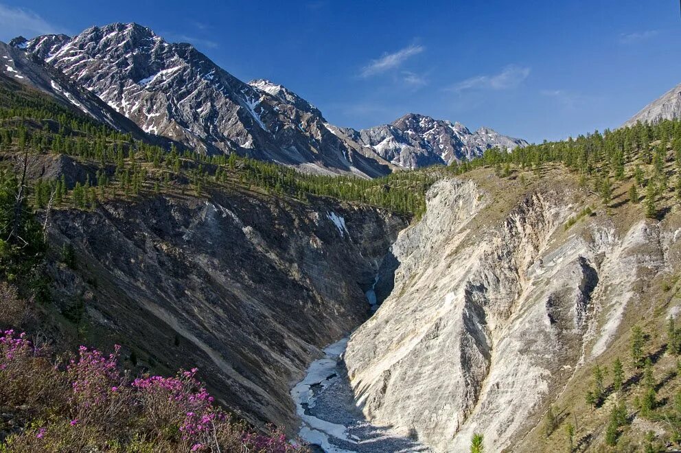 саяны часы работы